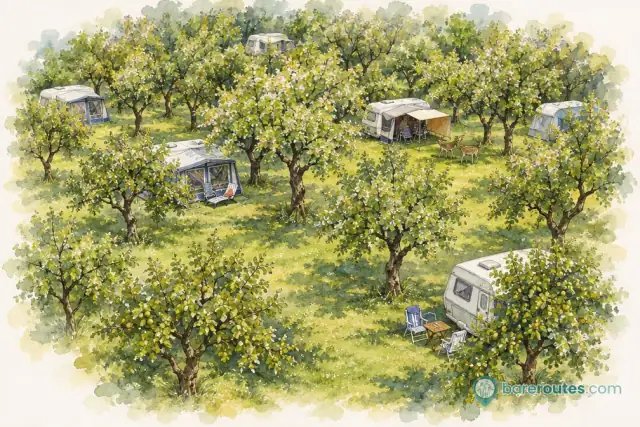 Hermitage Boomgaardcamping