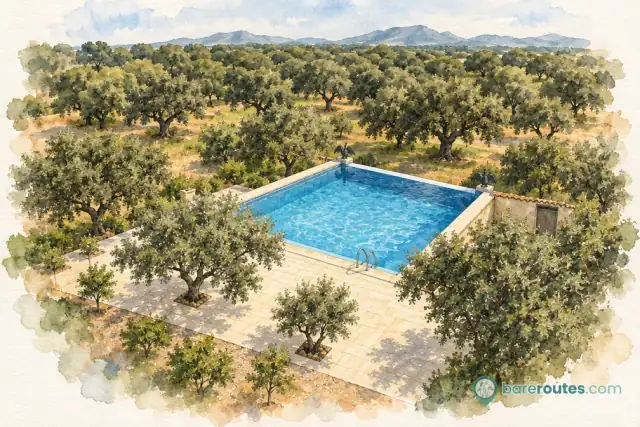 Camping Las Grullas
